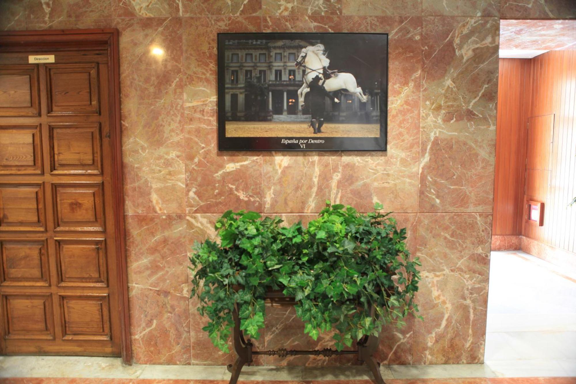 Hotel El Coloso Jerez de la Frontera Exterior foto